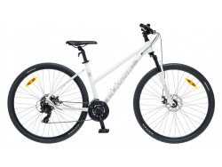 CLASSIC STREET 21 LADY DISC